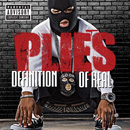 std44_plies.jpg