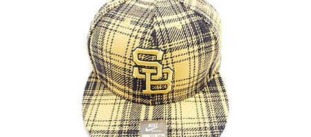 Nike SB Caps