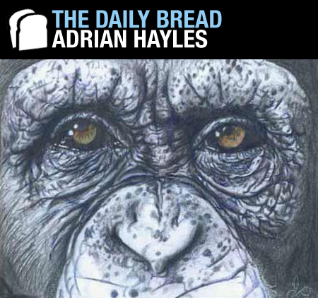Adrian Hayles