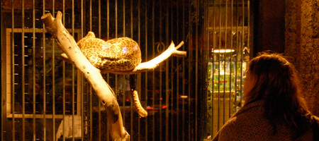Banksy – The Village Pet Store and Charcoal Grill