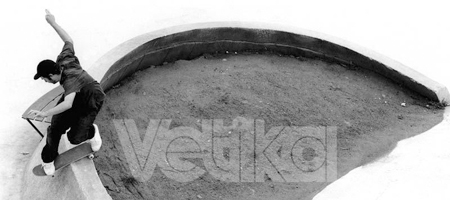 Vetika Online Shop Launch