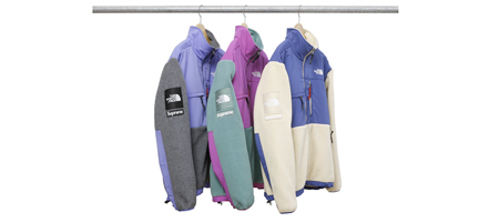 Supreme x The North Face Denali
