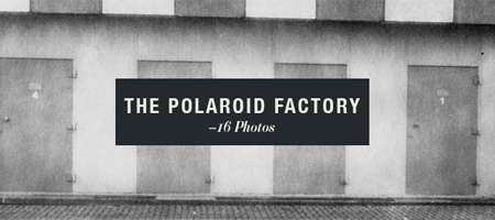 polarioid