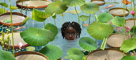 van-empel