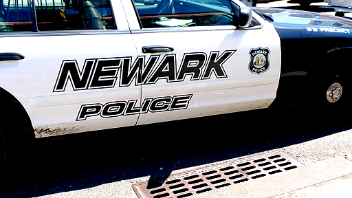 bricks police