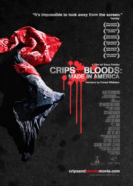 'Crips & Blood' Documentation By Stacy Peralta