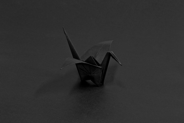 Daniel Sumarna: Black Origami Daniel Sumarna: Black Origami