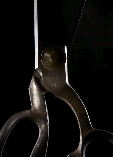 SVSV_shears3 SVSV_shears3