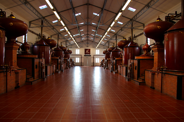 cognac8