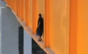 Video: Graffiti Artists Tag Mexico’s Metlac Bridge