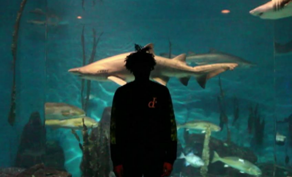 Video: dertbag “beware the kufi smacka” Spring 2013 Lookbook