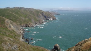 Muir Beach.