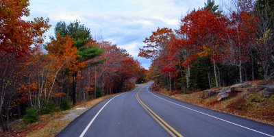 Roadtrip. Autumn in Acadia.