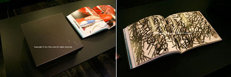 Puma by Mihara Yasuhiro Collectors Book