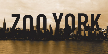 Zoo York