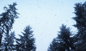 Burn Presents “We Ride: The Story Of Snowboarding”